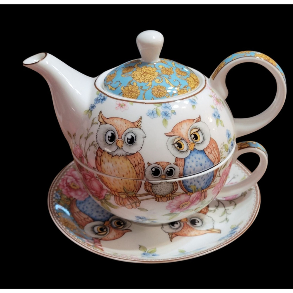 Whimsical and cute! Tea Set For One Owls Nesting Porcelain Teapot and Cup w/ box